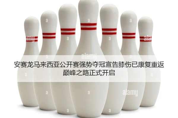 an-sai-long-ma-lai-xi-ya-gong-kai-sai-qiang-shi-duo-guan-xuan-gao-xi-shang-yi-kang-fu-chong-fan-dian-feng-zhi-lu-zheng-2-222.jpg